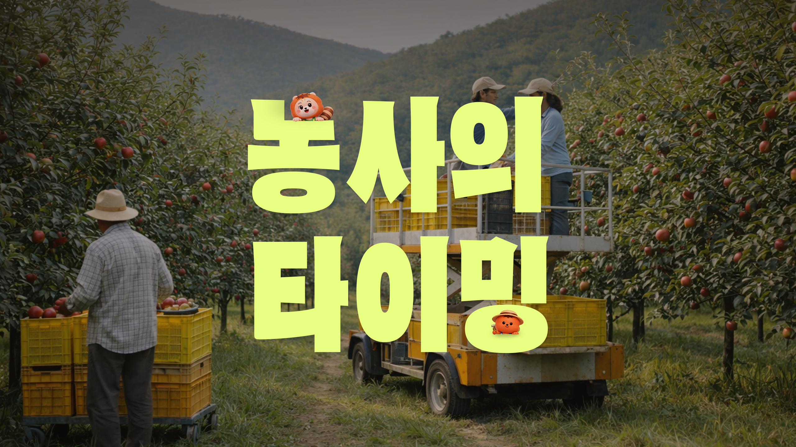 단감 농가 브랜드 필름 썸네일