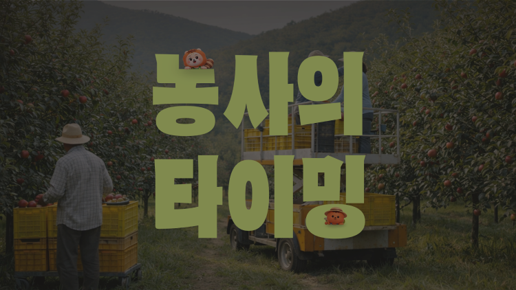 단감 농가 브랜드 필름 썸네일